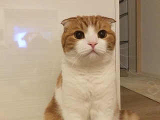 1557505876356.jpg