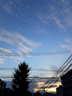 80417.jpg