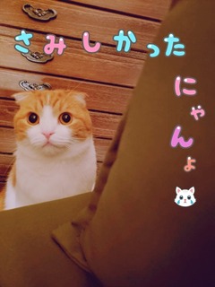 88212949-DEE7-4C43-8F5F-8B047F97E28A.jpeg