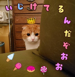 89560DF8-E5E5-4390-8E15-FAF40466EB06.jpeg