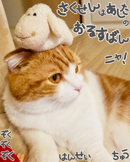 S__17244166.jpg