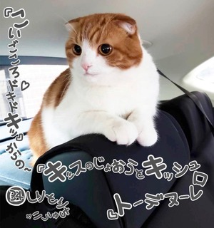 S__18161675.jpg