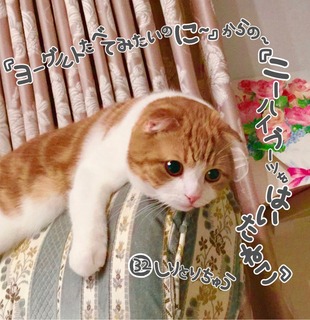 S__18161677.jpg