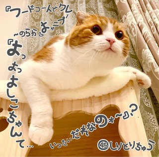 S__18882563.jpg