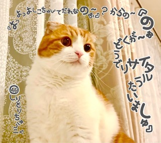 S__18882565.jpg