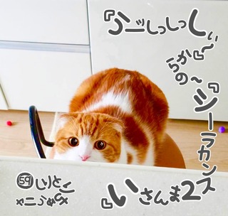 S__22462470.jpg