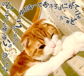S__23420931.jpg
