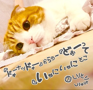 S__23420933.jpg