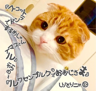 S__29597709.jpg