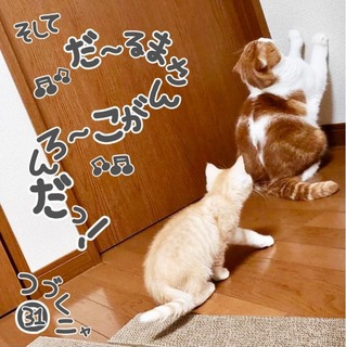 S__34365446.jpg