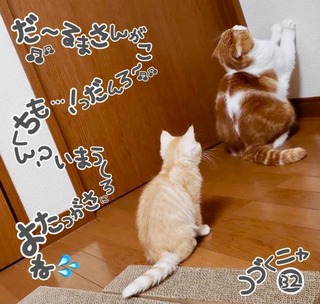 S__34365447.jpg