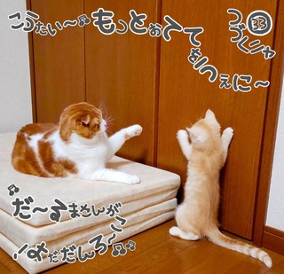S__34365448.jpg