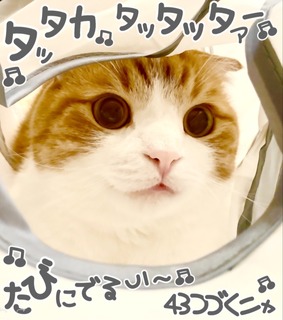 S__3448838.jpg