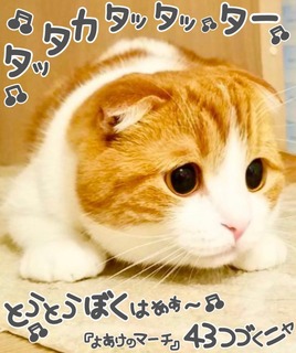 S__3448840.jpg