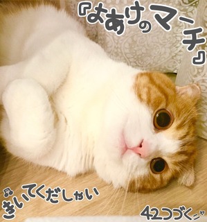 S__3448841.jpg