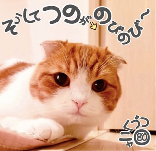 S__43417610.jpg