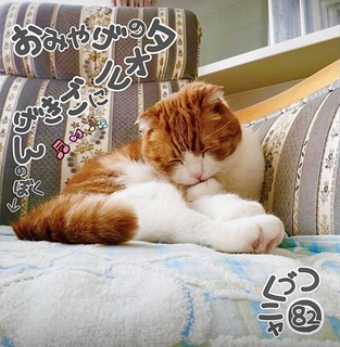 S__43417613.jpg