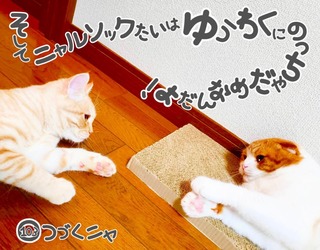 S__48283653.jpg