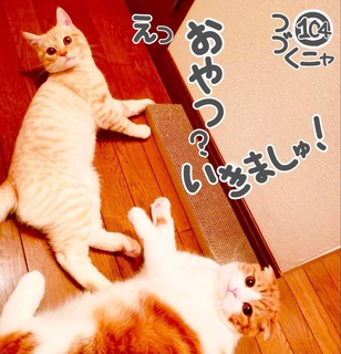 S__48283654.jpg