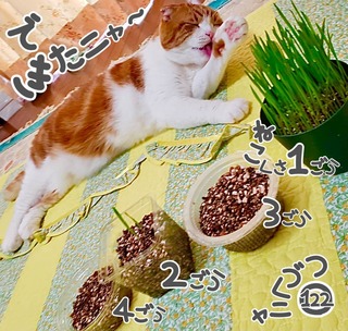 S__51912707.jpg