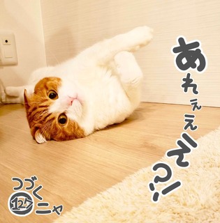 S__51912710.jpg